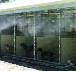 หัวพ่นหมอกลดความร้อนให้น้องหมา หัวพ่นหมอกลดความร้อนให้น้องหมา