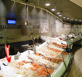 หัวพ่นหมอกคงความสดให้อาหารทะเลแช่แข็ง หัวพ่นหมอกคงความสดให้อาหารทะเลแช่แข็ง