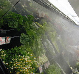 หัวพ่นหมอกเพิ่มอายุการเก็บรักษาผักสด หัวพ่นหมอกเพิ่มอายุการเก็บรักษาผักสด